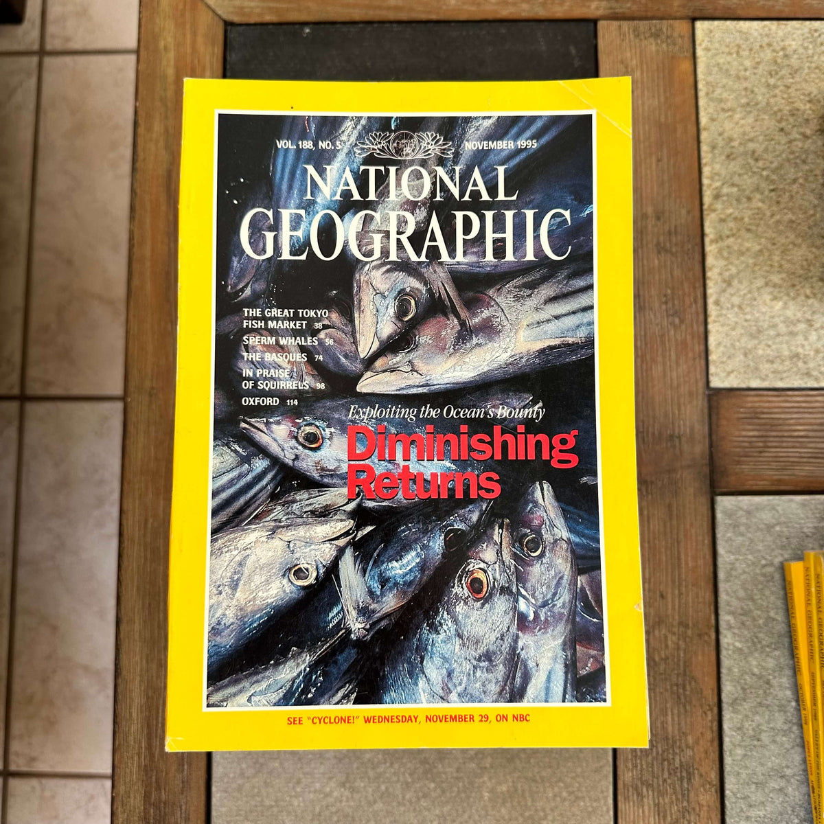 National Geographic Magazines (25 Magazines / No Duplicates / Great deals Condition)