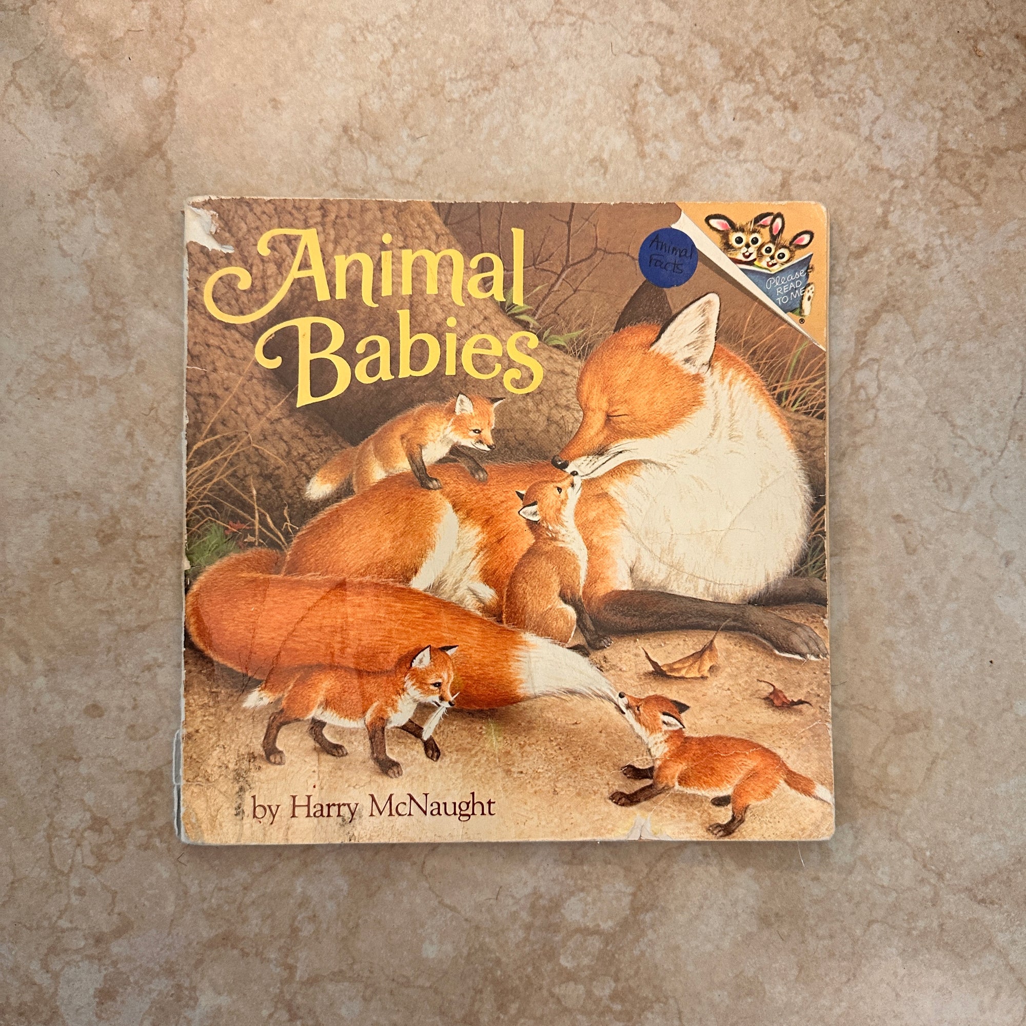 Animal Babies