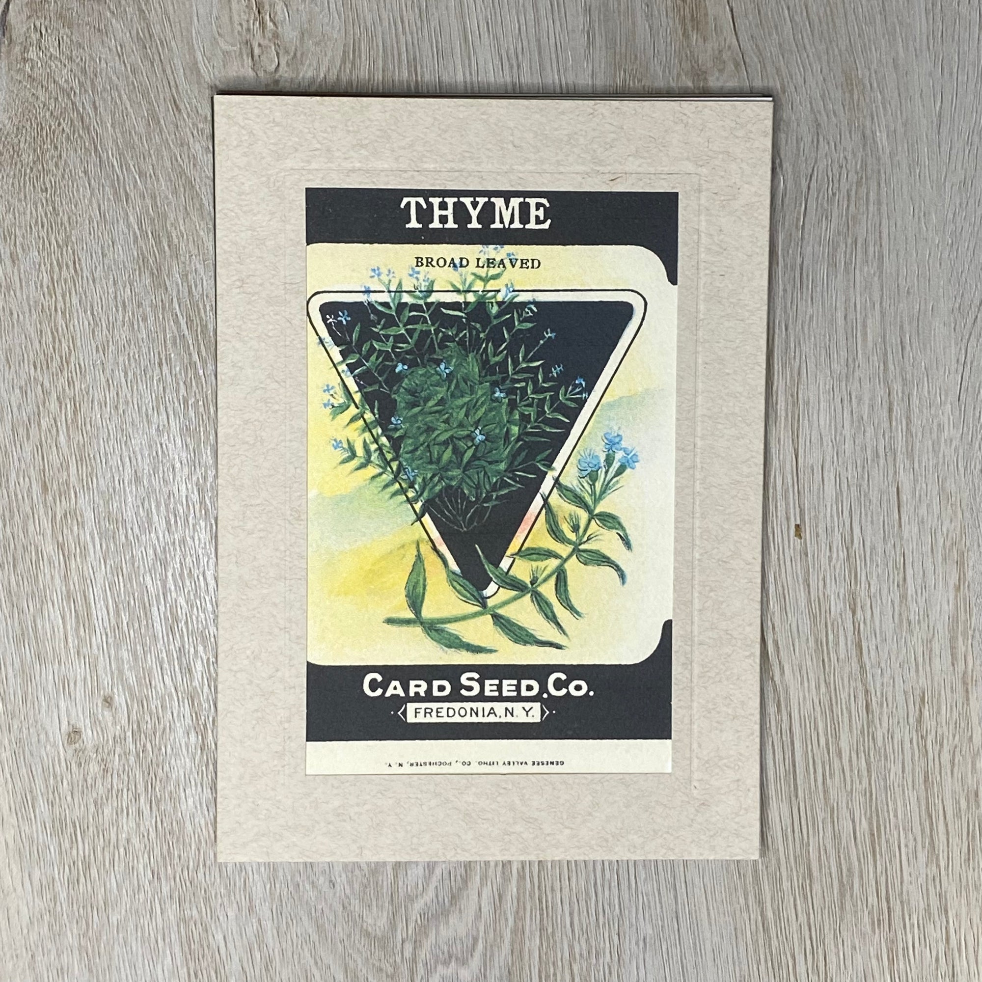 Thyme-Greetings from the Past-Plymouth Cards