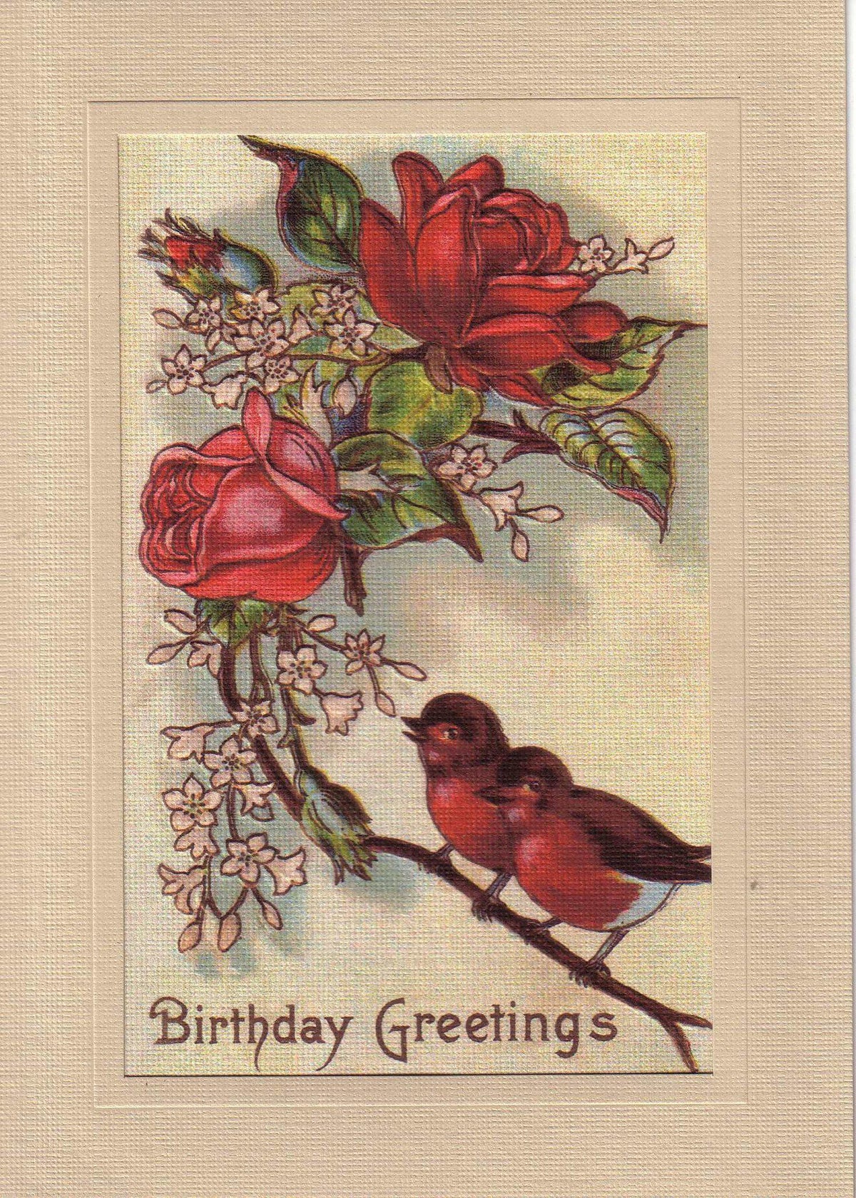 Birthday Greetings - Plymouth Cards