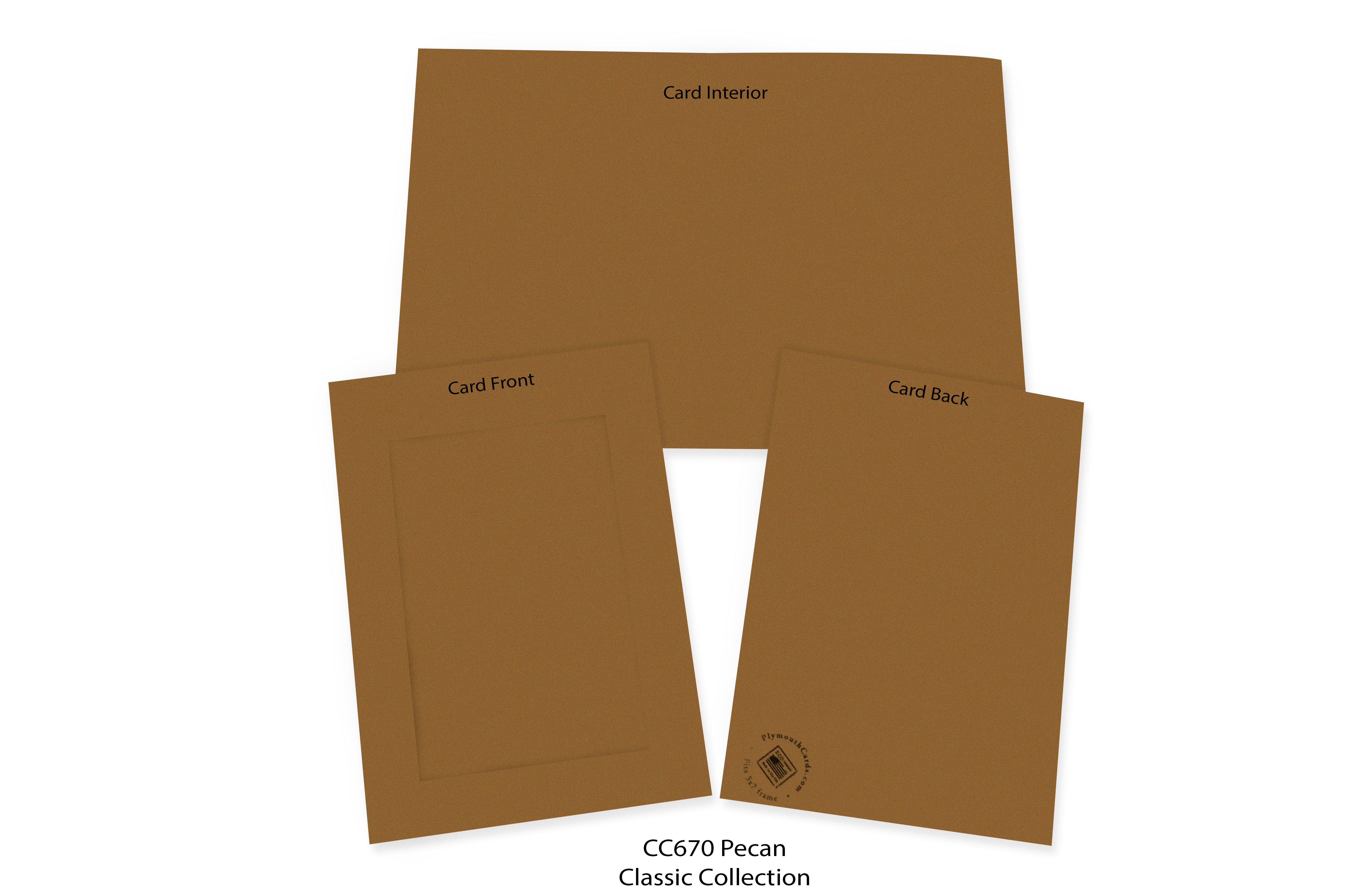 Pecan Photo Insert Note Cards - Color Classics Collection - #CC670 ...