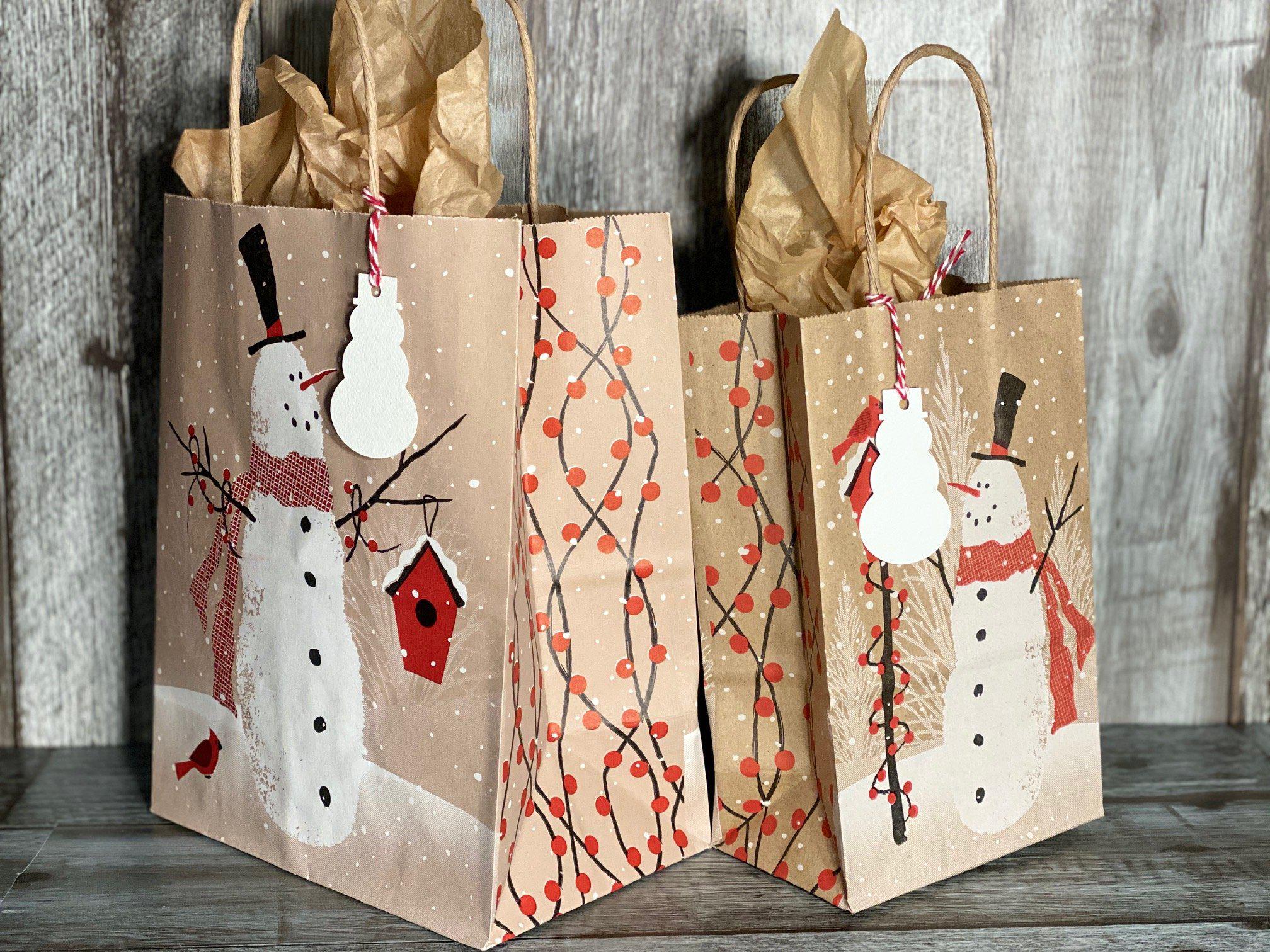 Gift Bag & Tag - Kraft Brown - Plymouth Cards