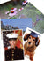 Photo printing & insertion-Photo note cards-Plymouth Cards