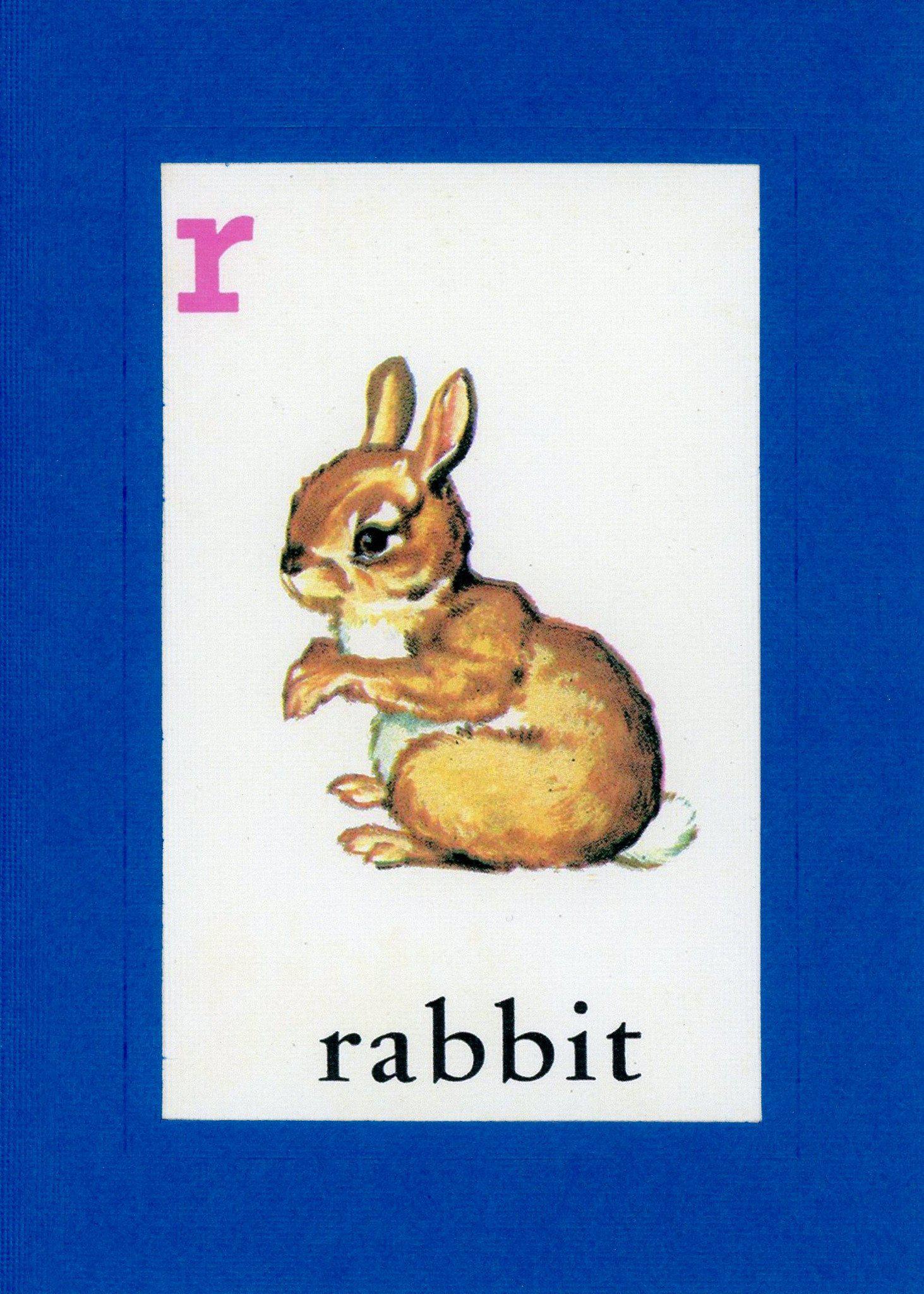 R is for Rabbit-Alphabet Soup-Plymouth Cards