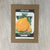 Squash - Boston Marrow-Greetings from the Past-Plymouth Cards