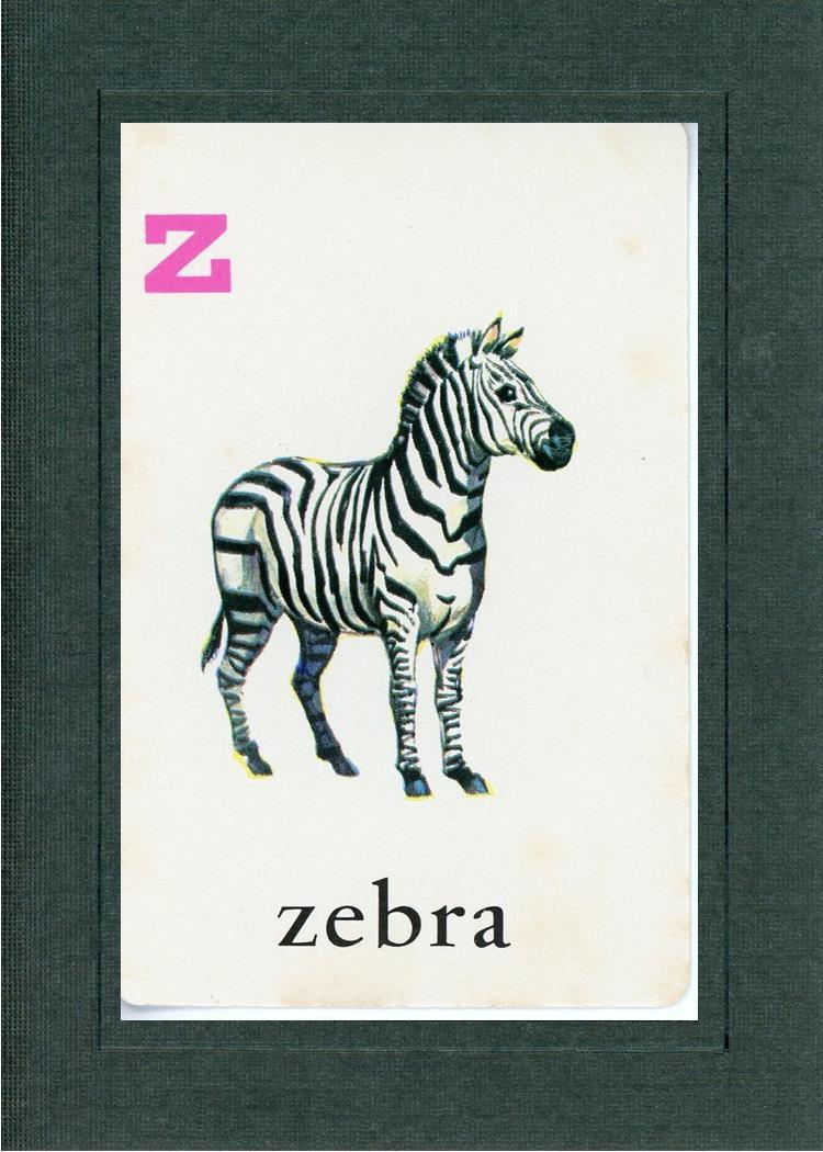 Z is for Zebra-Alphabet Soup-Plymouth Cards